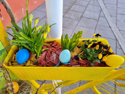 20250321_082923 20250321_082923