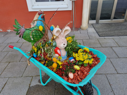 20250321_122625 20250321_122625