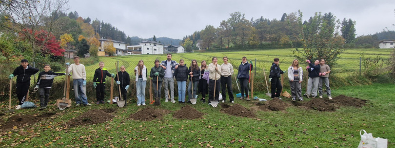 20241022_105313(0) 20241022_105313(0)