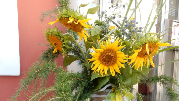 Das war der Tag der offenen Tür