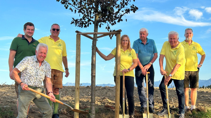 Neuer Baum für die Tigringer Allee