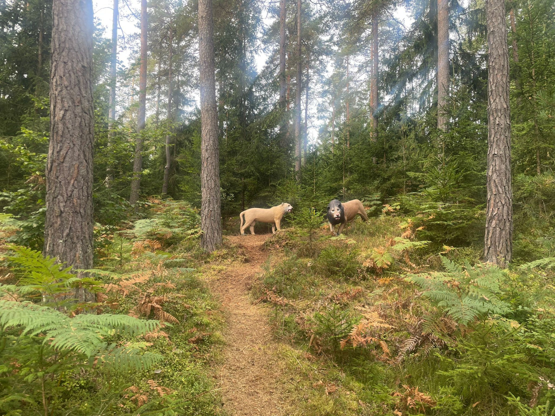 Foto_FB_RobertEngel (2) Foto_FB_RobertEngel (2)