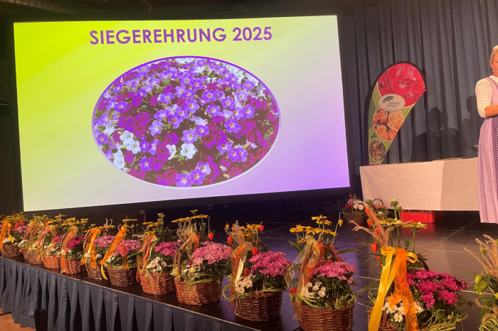 Siegerehrung Siegerehrung