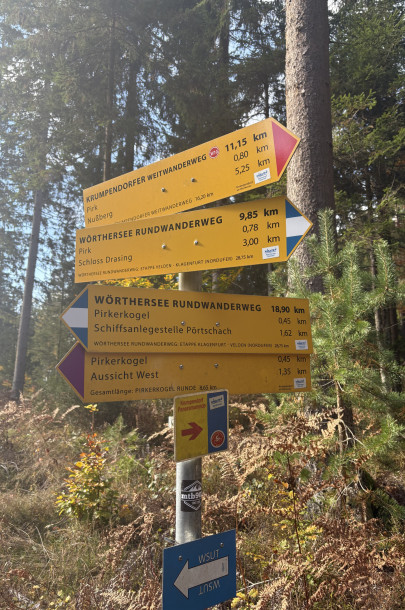 image00013 image00013