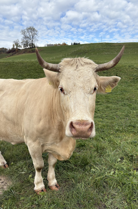 image00016 image00016