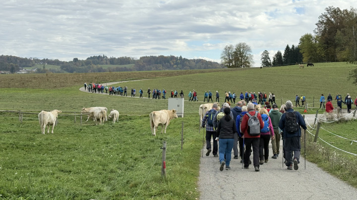 12. Sternwanderung auf den Pirkerkogel