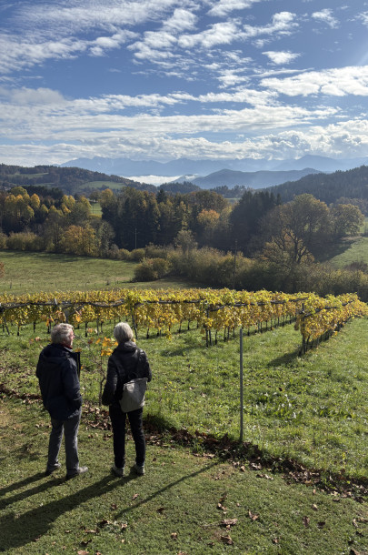 image00024 image00024