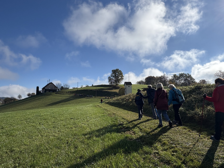 image00039 image00039