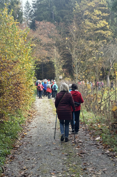 image00050 image00050