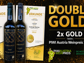 Doppelt Gold für Karolinger Weinbau beim PIWI Austria Weinpreis 2026