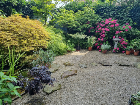 Sacher 1