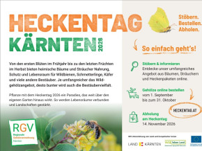 Heckentag 2026: Hecken als Lebensräume für Bestäuber