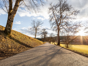 Tigringer Allee: Straßensperre