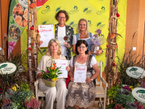 Blumen sind Augenschmaus und Seelentherapie