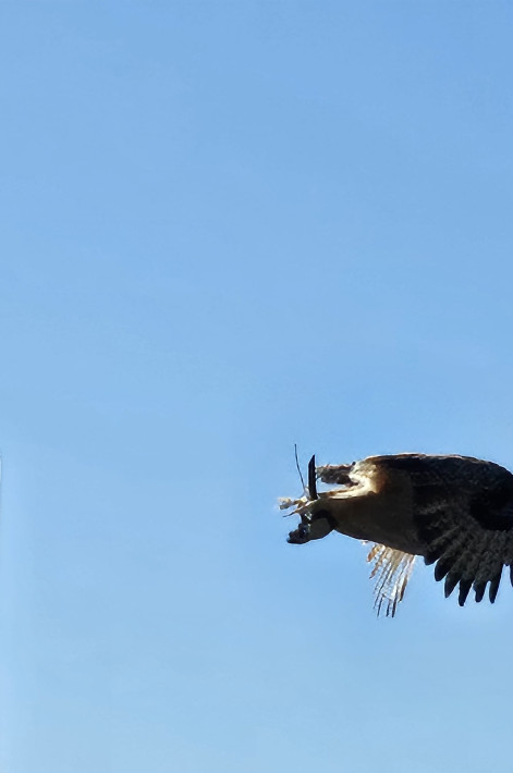Ausflug pflegende Angehörige 1.